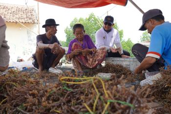 PT Kliring Berjangka Indonesia bantu modal petani rumput laut