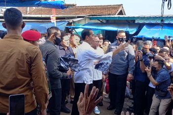 Presiden Jokowi pantau harga pangan di Pasar Natar Lampung Selatan