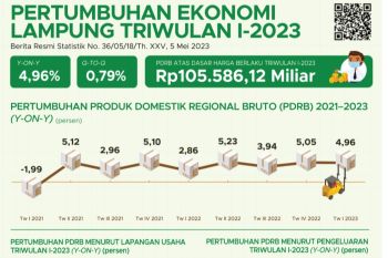Ekonomi Lampung tumbuh 4,96 persen di triwulan I tahun 2023