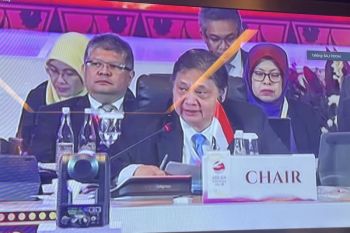 ASEAN should act together to continue inclusive growth: Minister