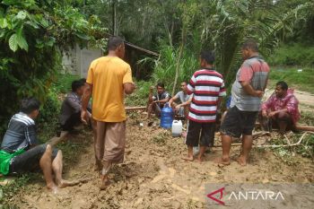Puluhan  hektare sawah warga terendam banjir bandang di Solok