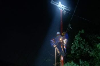 Cuaca ekstrem, PLN turunkan 156 personel amankan pasokan listrik ke pelanggan