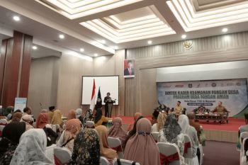4 desa di Lombok Tengah menjadi lokus intervensi desa pangan aman