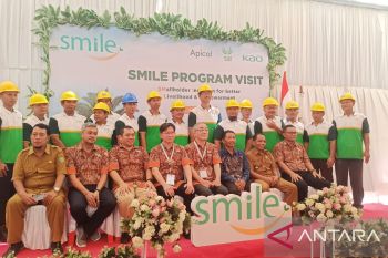 Program SMILE, upaya tingkatkan keberlangsungan kelapa sawit jangka panjang