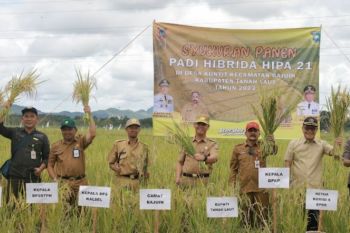 Asisten: Petani lokal tambah perputaran ekonomi
