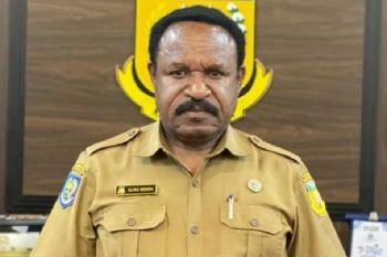 Pemprov sebut Papua punya potensi tambang di sembilan kabupaten/kota