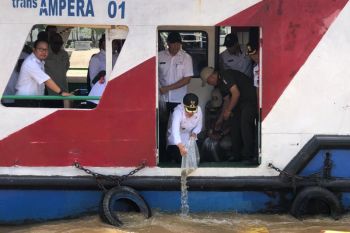 Pemkot Palembang menyebar 2.000 benih ikan patin di Sungai Musi