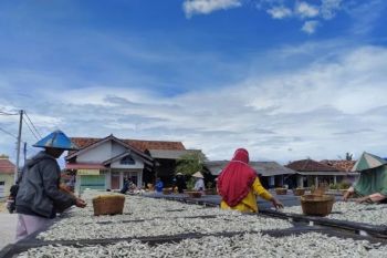 Perajin ikan teri asin Pulau Pasaran keluhkan harga garam tinggi