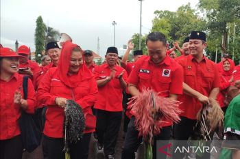 Daftarkan bacaleg ke KPU, PDI Perjuangan Semarang gelar kirab budaya