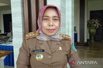Pemkot Kendari melakukan peremajaan pohon dengan tanaman tanjung