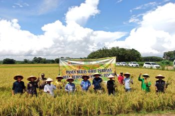 Dukungan Bukit Asam untuk wujudkan pertanian ramah lingkungan
