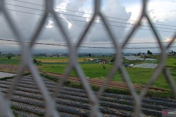 BPTPH Sumbar siapkan edukasi ke petani antisipasi gagal panen