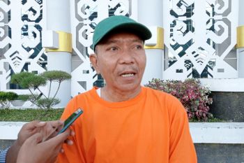 Harga garam di Lombok Tengah NTB untungkan petani