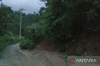 BPBD OKU Selatan singkirkan  material longsor di jalan Desa Tenang