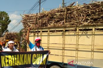 APTRI berharap pemerintah naikkan HPP gula tani