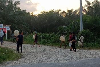Pekerja kebun di Siak kembali bentrok dengan PT DSI, tiga orang luka-luka