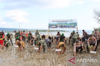 TNI-Polri tanam 5.000 pohon mangrove di pesisir pantai Baubau