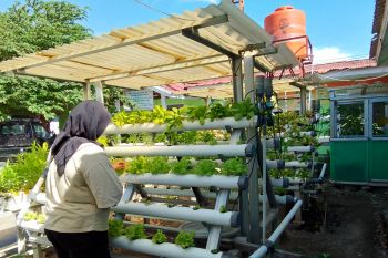 Dinas Pertanian dan Ketahanan Pangan Kota Palu berikan penyuluhan antisipasi El Nino