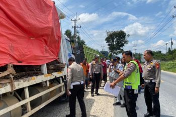 Pengemudi becak di Kampar tewas senggol truk
