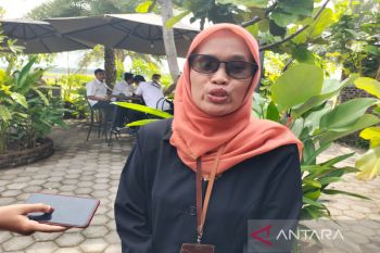 KPU Kulon Progo menetapkan DPS hasil perbaikan sebanyak 345.989 pemilih