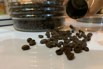 Baristand Palembang kenalkan kopi Sumsel ke kancah dunia