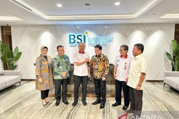 BSI diimbau investigasi menyeluruh soal serangan siber