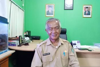 Belitung dorong perusahaan optimalkan program integrasi sawit-sapi