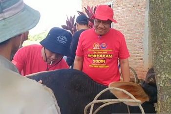 Jelang Idul Adha, DPRD Metro ingatkan DKP3 perketat pengawasan hewan ternak