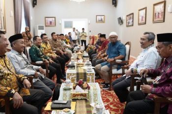 GALERI FOTO - Pesan Gubernur Riau saat terima kunjungan DMDI