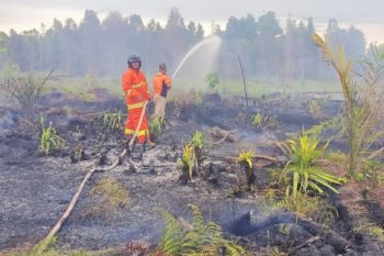 Tim gabungan padamkan karhutla di Kalis Kapuas Hulu