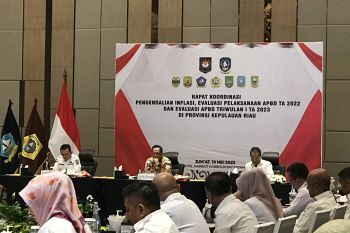 Mendagri: inflasi Triwulan I tahun 2023 di Kepri terkendali