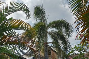 Waspada peningkatan kecepatan angin di wilayah NTB