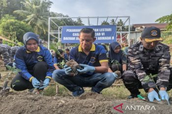 TNI AL Kendari menggalakkan tanam cabai di pekarangan tekan inflasi