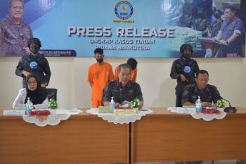BNNP bantah Kepala BNN Pasbar peras istri tersangka pengedar narkoba
