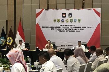 Mendagri sebut inflasi Triwulan I tahun 2023 di Kepri relatif terkendali