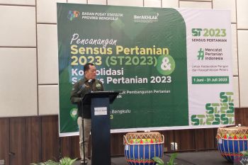 BPS: Petani muda di Bengkulu masih rendah