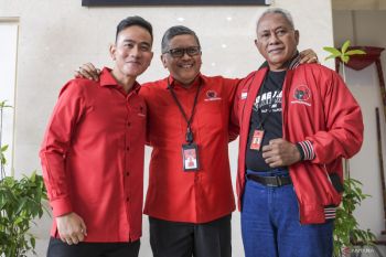 Hasto: Gibran sudah dikuningkan Golkar