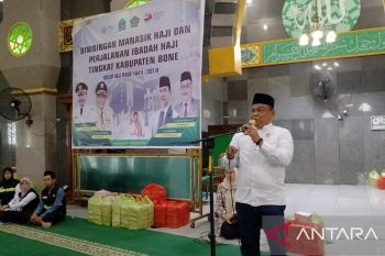 Bupati Bone lepas 779 JCH yang terbagi dalam tiga kloter