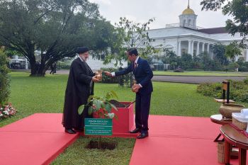Presiden Jokowi menerima kunjungan kenegaraan Presiden Iran di Istana Bogor