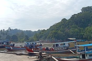Pemkab Pasaman Barat peroleh 1.100 asuransi nelayan selama 2023