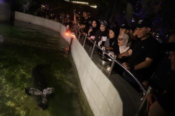 Kebun binatang malam bagian pengembangan wisata baru