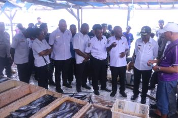 TPID Kota Jayapura inspeksi mendadak tempat pelelangan ikan