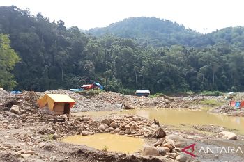 Penertiban tambang emas ilegal di Pasaman Barat butuh kesadaran dan komitmen bersama