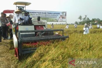 Wamentan Harvick mendorong Karawang menjaga produktivitas pertanian
