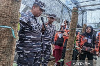 Pemkot Kendari berikan apresiasi TNI AL ajari warga pesisir budi daya vanili