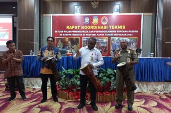 Kemendagri minta Pemprov Papua bentuk Dinas Pemadam Kebakaran