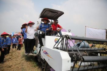 Ketua Komisi IV DPR RI bersama Bupati Lampung Selatan panen raya padi dan bagi bantuan