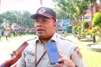 10,8 hektare lahan di Pekanbaru terbakar selama 2023