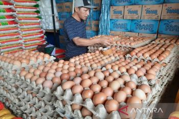 Di Kendari, harga telur ayam naik, terendah Rp60.000 per rak