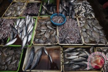 The Yogyakarta promotes fish consumption to prevent stunting